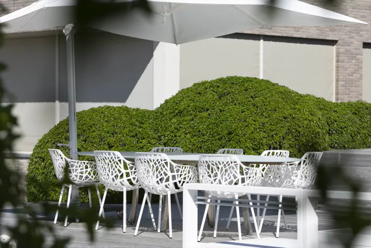 Landelijk gelegen tuin met elegante haagmassieven (36) - 