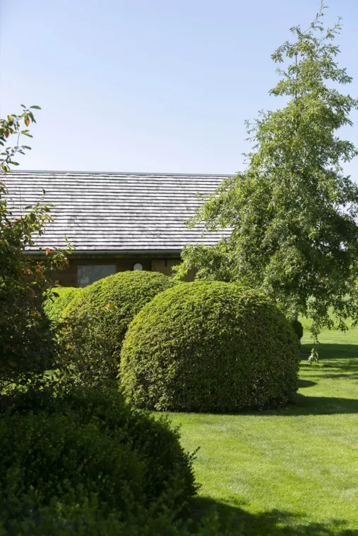 Landelijk gelegen tuin met elegante haagmassieven (35) - 