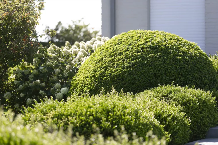 Landelijk gelegen tuin met elegante haagmassieven (40) - 