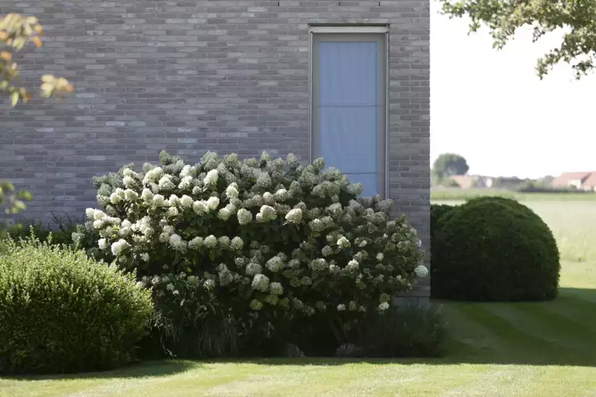 Landelijk gelegen tuin met elegante haagmassieven-Landelijk gelegen tuin met elegante haagmassieven (1)